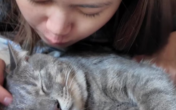 5 Significados de Sonhar em Ter um Gato